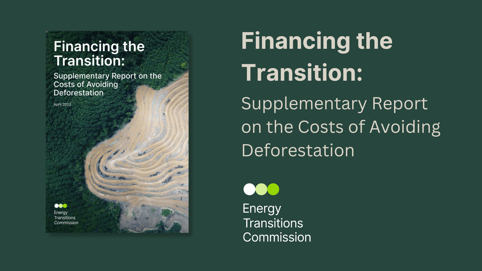 financing-the-transition-the-costs-of-avoiding-deforestation-etc